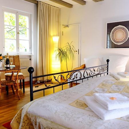 Rhein River Guesthouse - Direkt Am Rhein 勒沃库森 外观 照片
