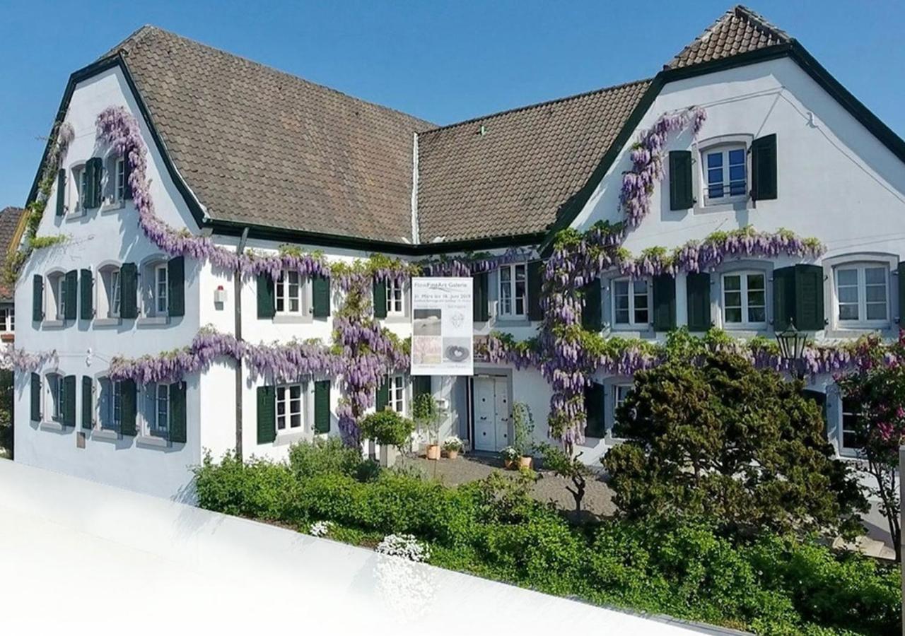 Rhein River Guesthouse - Direkt Am Rhein 勒沃库森 外观 照片