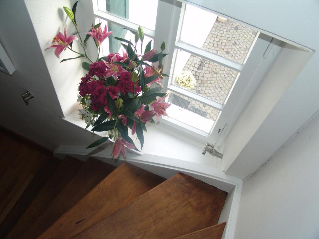 Rhein River Guesthouse - Direkt Am Rhein 勒沃库森 外观 照片