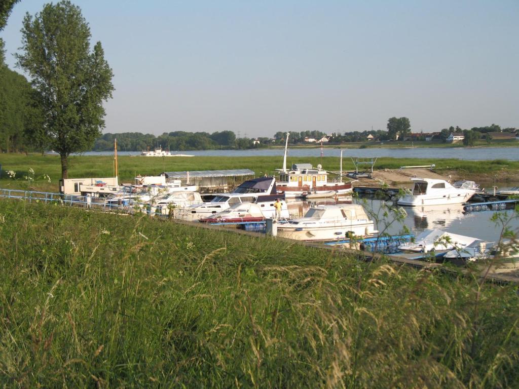 Rhein River Guesthouse - Direkt Am Rhein 勒沃库森 外观 照片