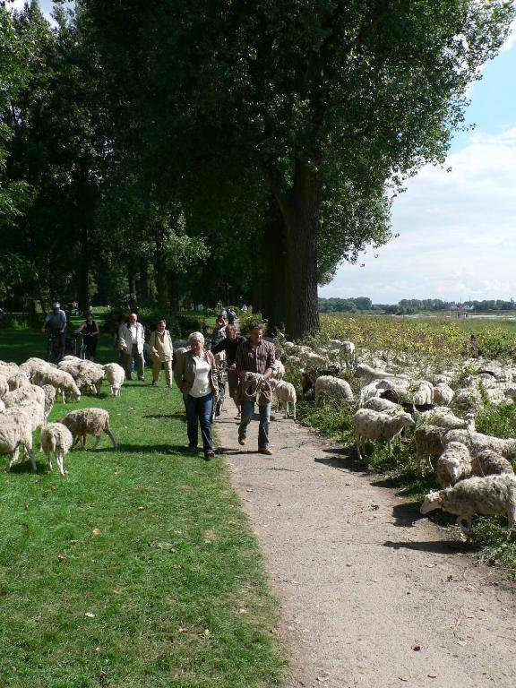 Rhein River Guesthouse - Direkt Am Rhein 勒沃库森 外观 照片
