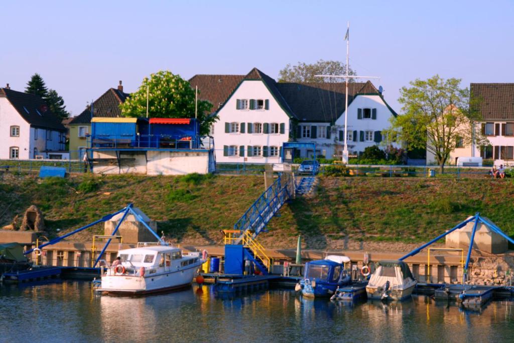 Rhein River Guesthouse - Direkt Am Rhein 勒沃库森 外观 照片