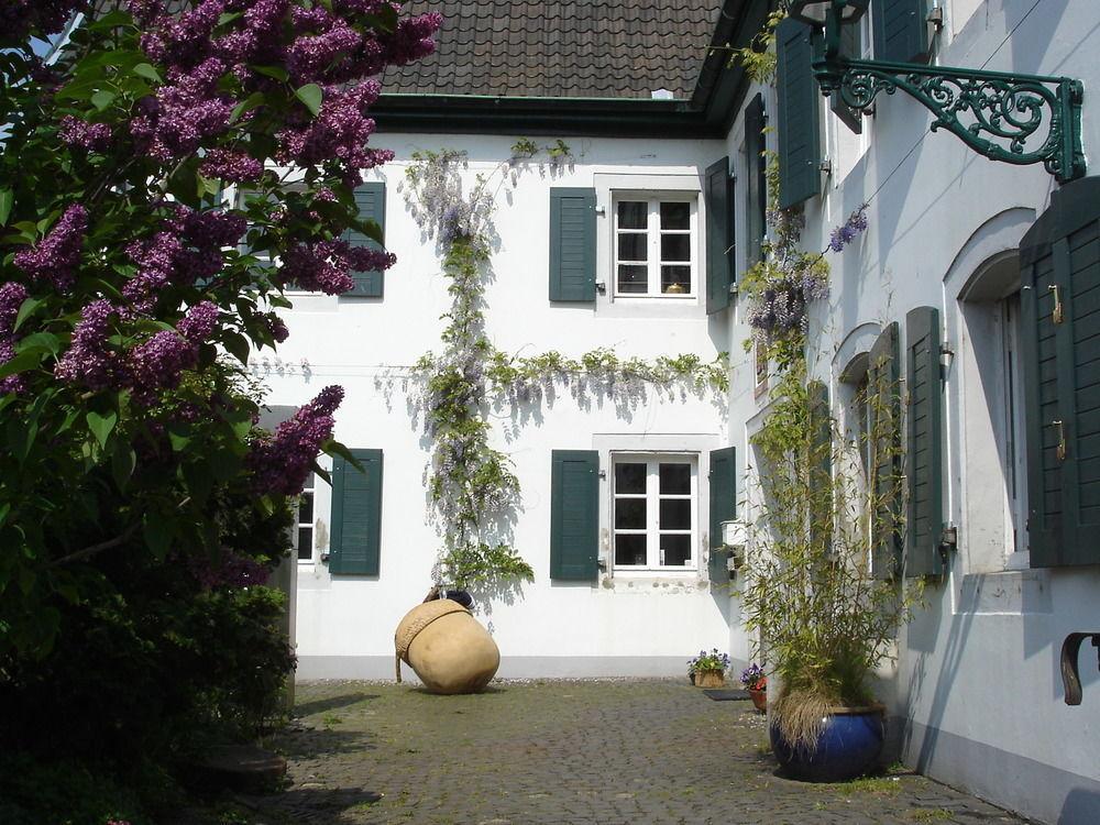 Rhein River Guesthouse - Direkt Am Rhein 勒沃库森 外观 照片