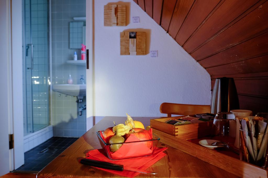 Rhein River Guesthouse - Direkt Am Rhein 勒沃库森 外观 照片