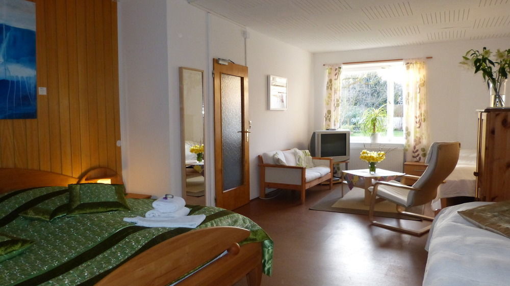 Rhein River Guesthouse - Direkt Am Rhein 勒沃库森 外观 照片