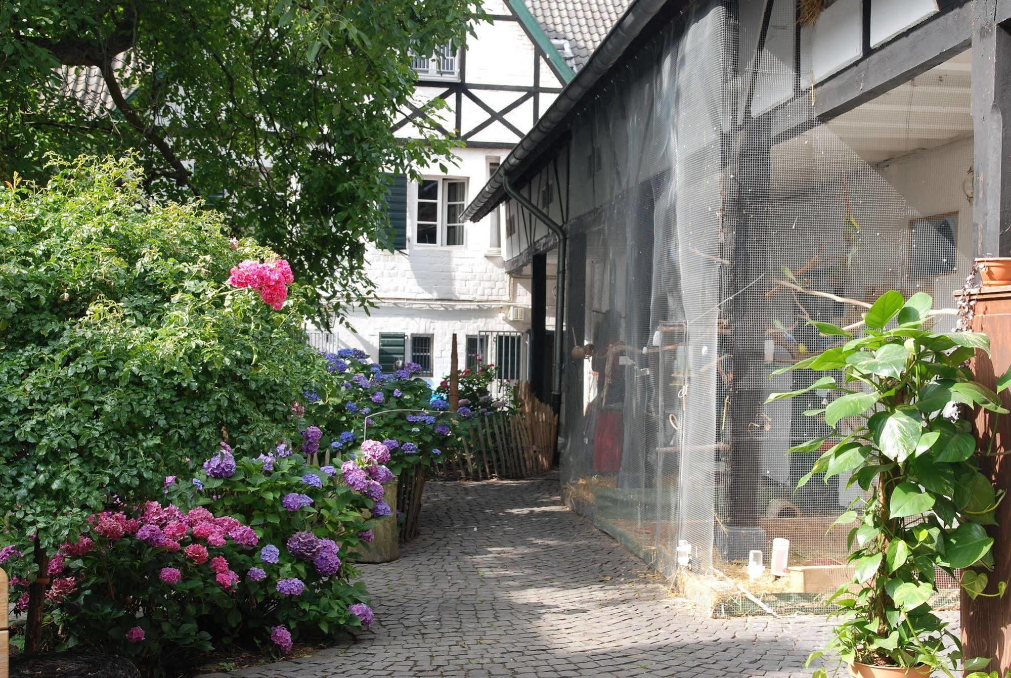 Rhein River Guesthouse - Direkt Am Rhein 勒沃库森 外观 照片