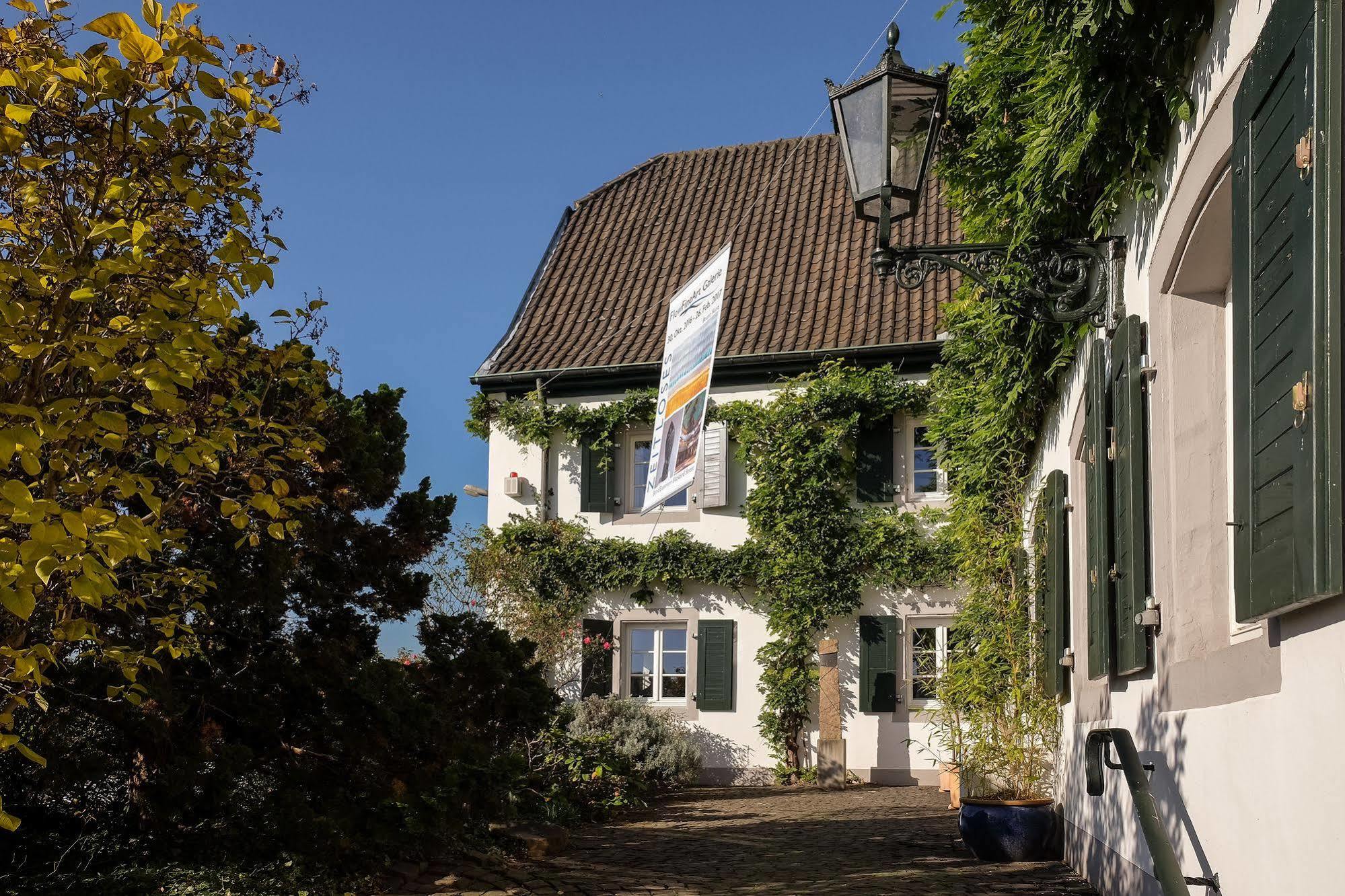 Rhein River Guesthouse - Direkt Am Rhein 勒沃库森 外观 照片